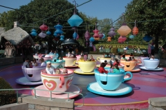 DIsneyland Park Teacups