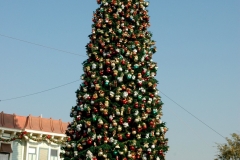 Disneyland Park Town Square Christmas Tree