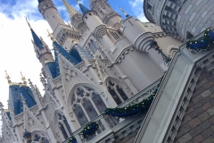 Magic Kingdom Castle