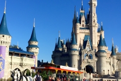 Horse Trolly in Front of Cinderella's Castle Magic Kingdom