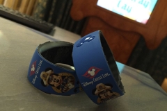 Disney Fantasy Cruise Ship Magic Bands