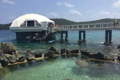 Disney Fantasy Cruise - St. Thomas Coral World Undersea Observatory Tower