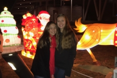 Chinese Lantern Festival Cary, NC