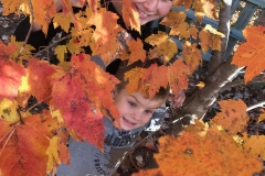 Fall leaves in Holly Springs, NC