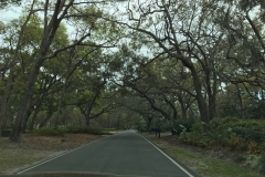 Travel from Hilton Head