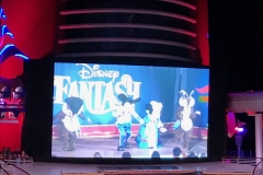 Disney Fantasy 10 Night - 4th of July