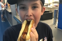 Tropicana Field - Rays Hot Dog