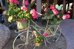 Flower Bicycle - Scottsdale, AZ