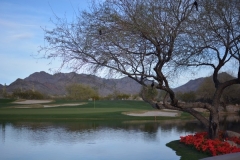 Greyhawk Golf Club - Scottsdale, AZ