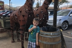 Horses - Frontier Town Cave Creek, AZ