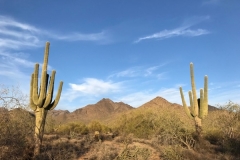 Scottsdale, AZ