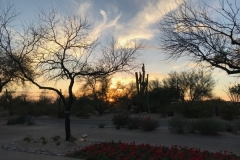 Sunset - Scottsdale, AZ