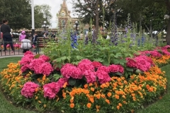 Disneyland Flowers