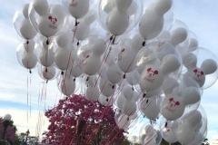 Baloons - Disneyland Park