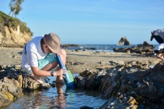 Corona Del Mar Beach California