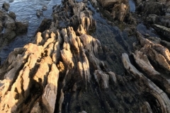 Corona Del Mar Beach California