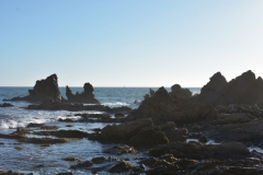 Corona Del Mar Beach California