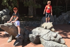 Redwood Creeek Challenge - Disney\'s California Adventure Park