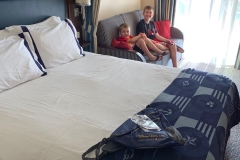 Disney Magic Veranda Stateroom 2019