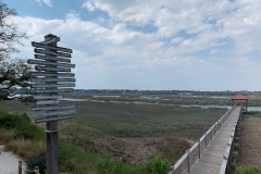 Dock - Disney\'s Hilton Head Island