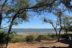 Marsh Area - Disney\'s Hilton Head Island Resort