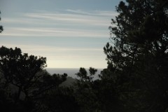 Mendocino California Sklyline at Dusk