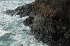 Mendocino Coast Pacific Ocean